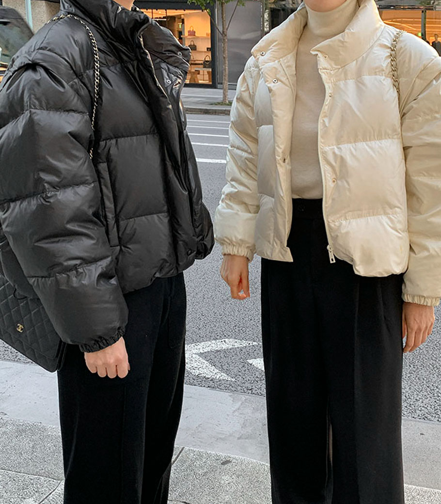 双倍重量 Goose 羽绒服
