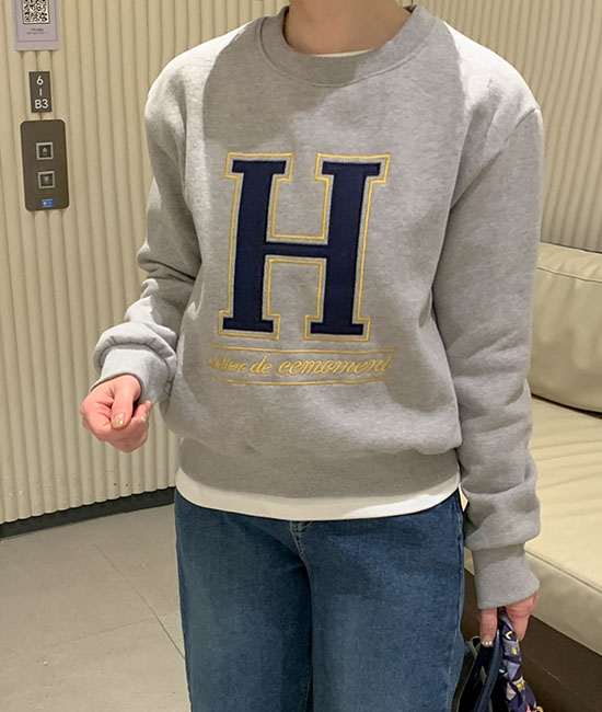 H刺绣运动衫
